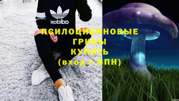 a pvp Алексеевка